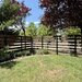 Baneasa, apartament cu gradina in Greenfield Baneasa